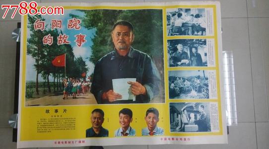 兵庫医科大学 Diploma